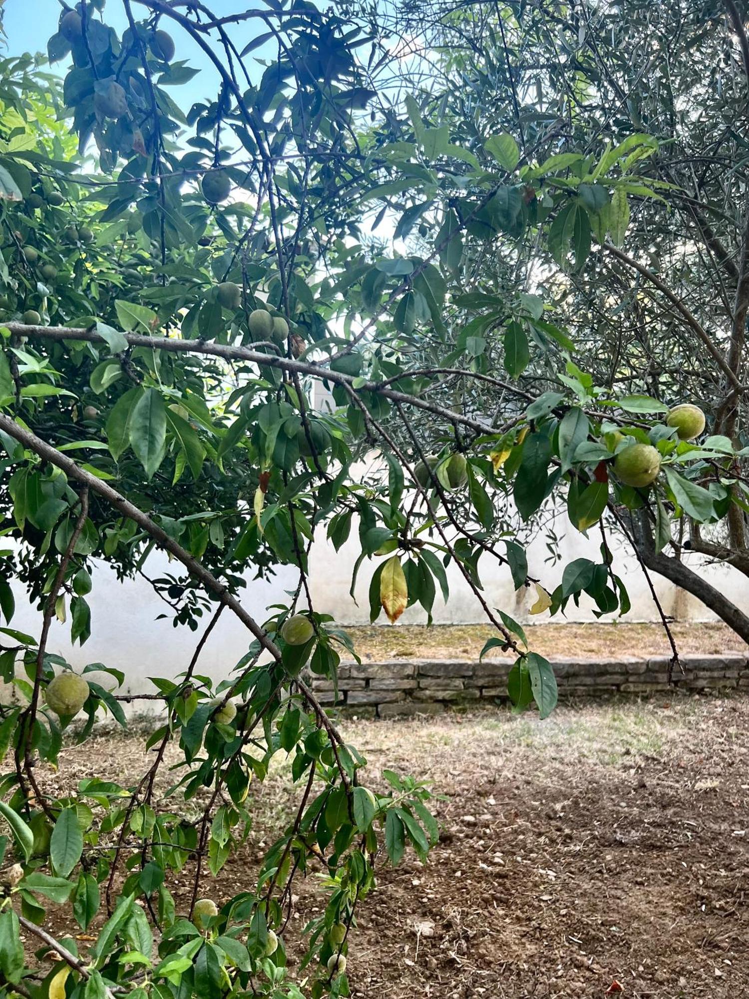 Avec Piscine Privee Sans Vis A Vis Et Montpellier A 20mn Villa